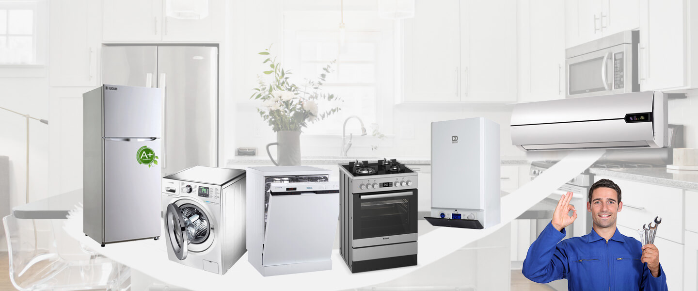 Bozdoğan Electrolux Servisi